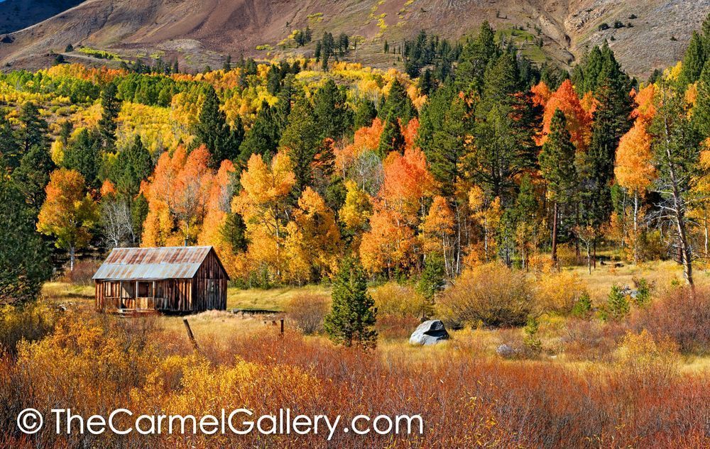 Hope Valley Autumn