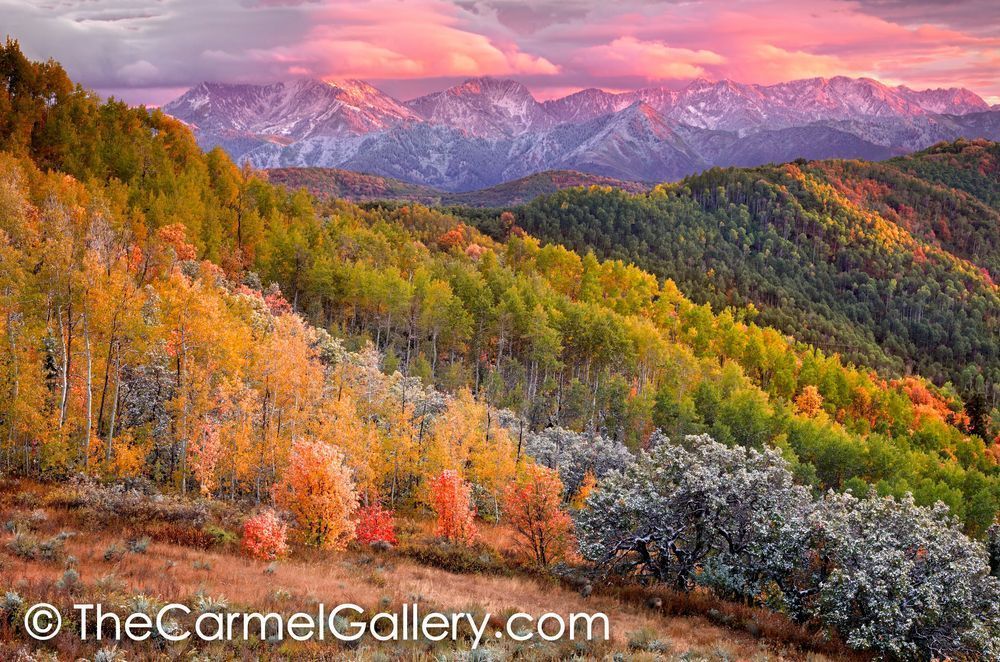 High Country Autumn