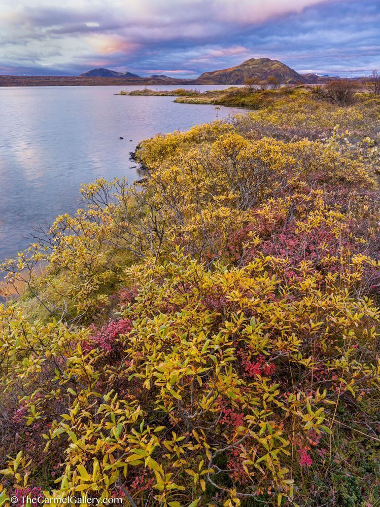 Iceland Sunrise Photography Art | The Carmel Gallery