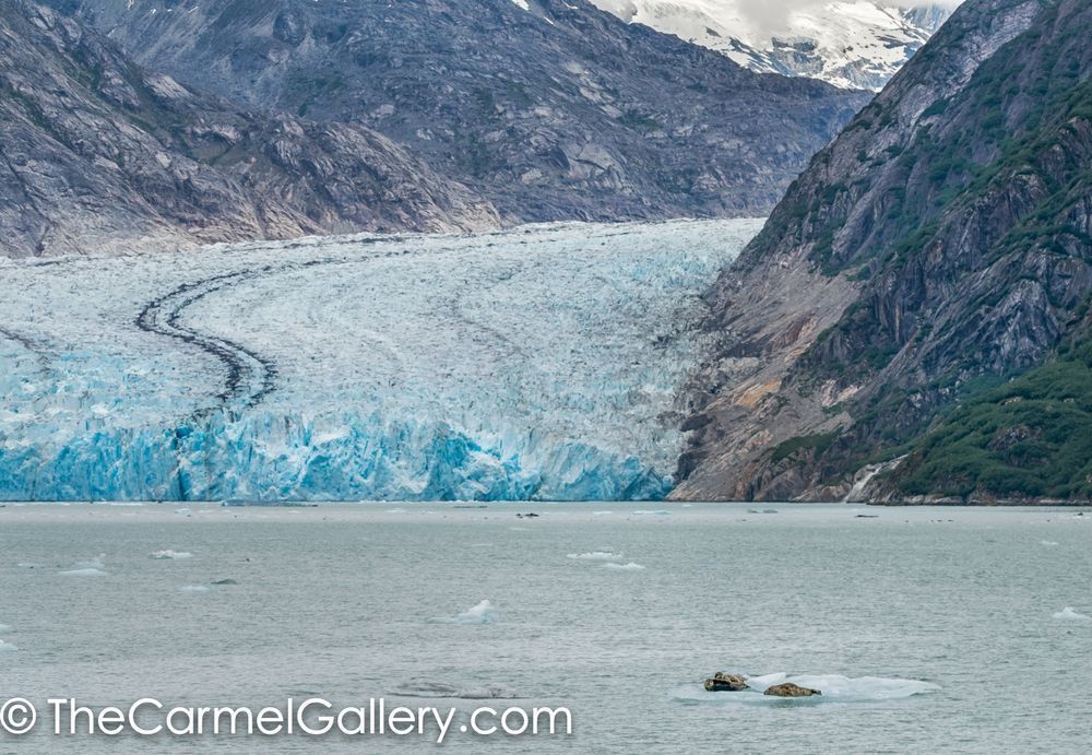 Ice Passengers
