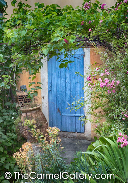 In the Garden, Provence