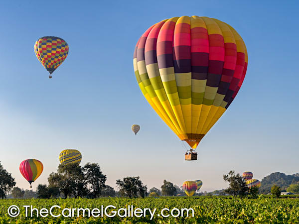 Napa Valley Balloons