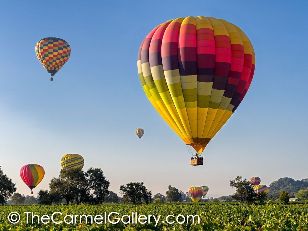 Napa Valley Balloons