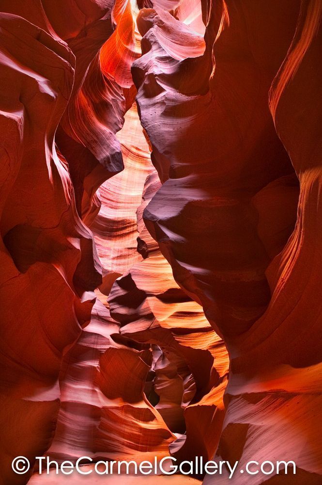 Navajo Cathedral