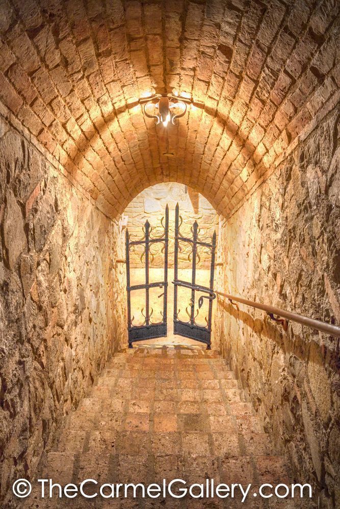 Open to the Cellar V
