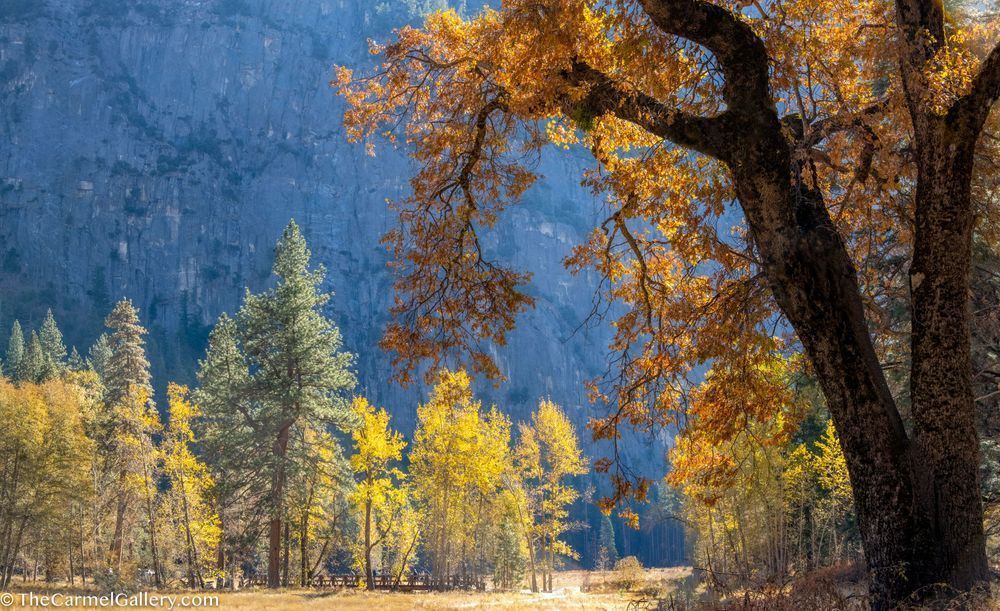 Yosemite Autumn Photography Art | The Carmel Gallery