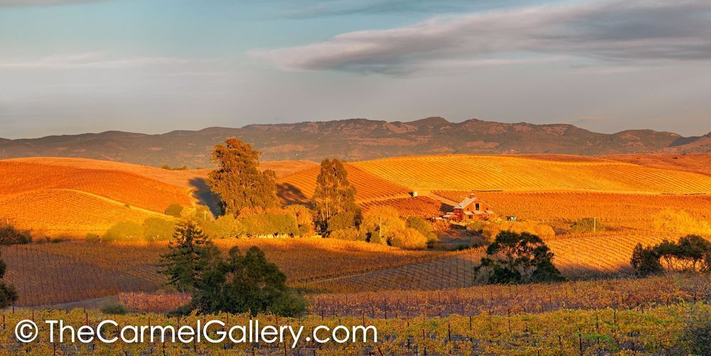 Last Light Of Evening Photography Art | The Carmel Gallery