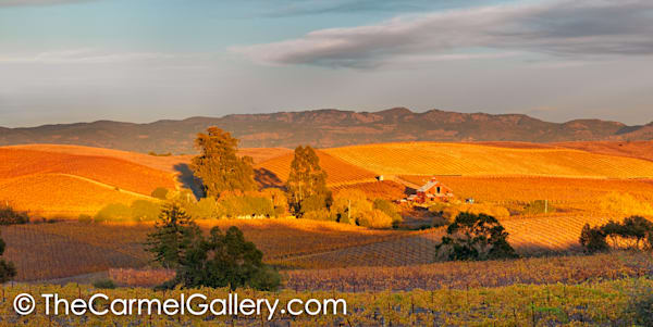 Last Light Of Evening Photography Art | The Carmel Gallery
