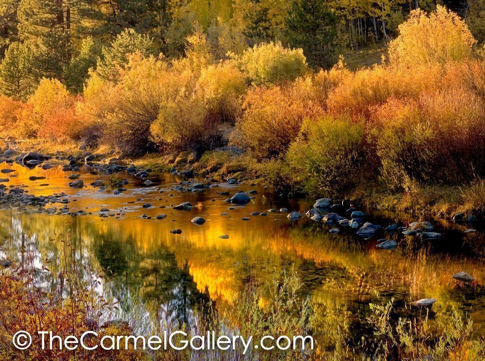 Little Truckee River in Autumn