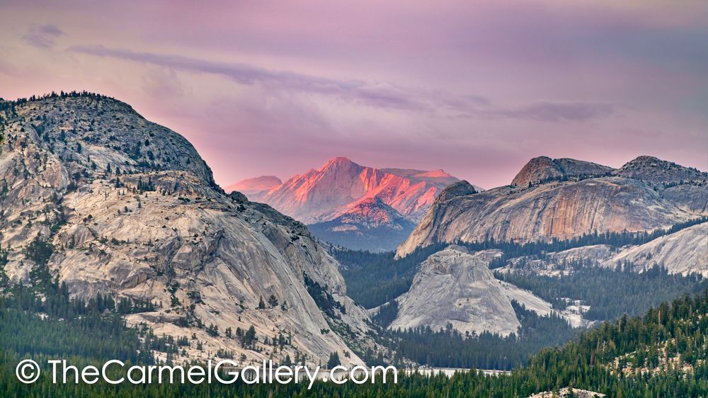 Mt. Conness Alpenglow