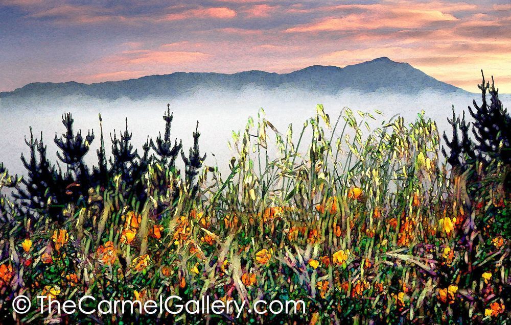 Mt. Tam Poppies