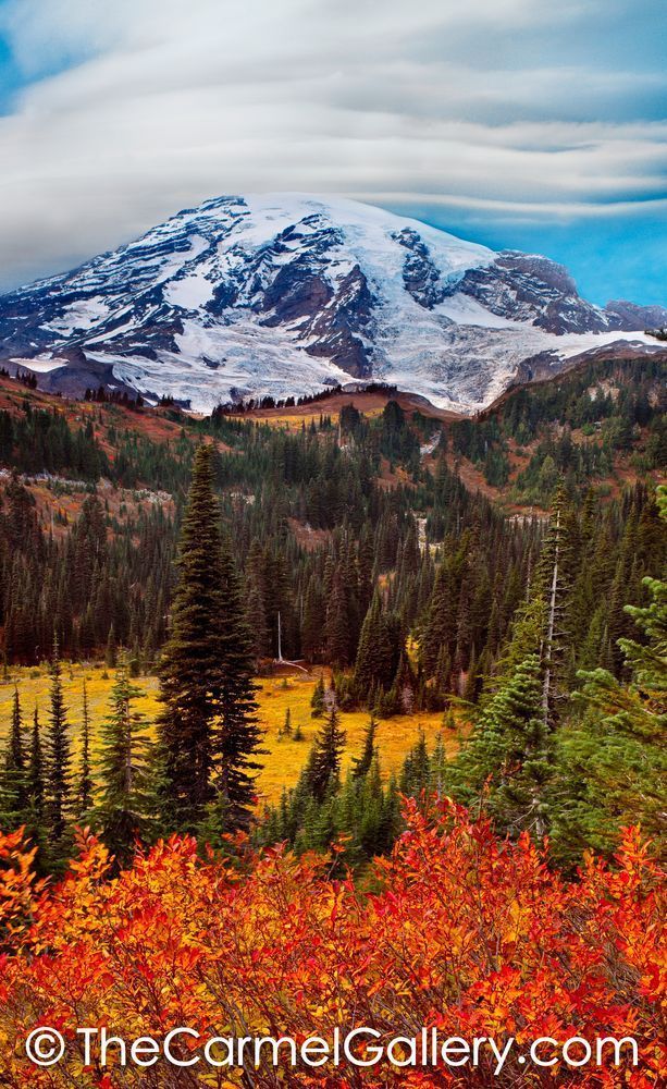 Mount Ranier in Autumn II