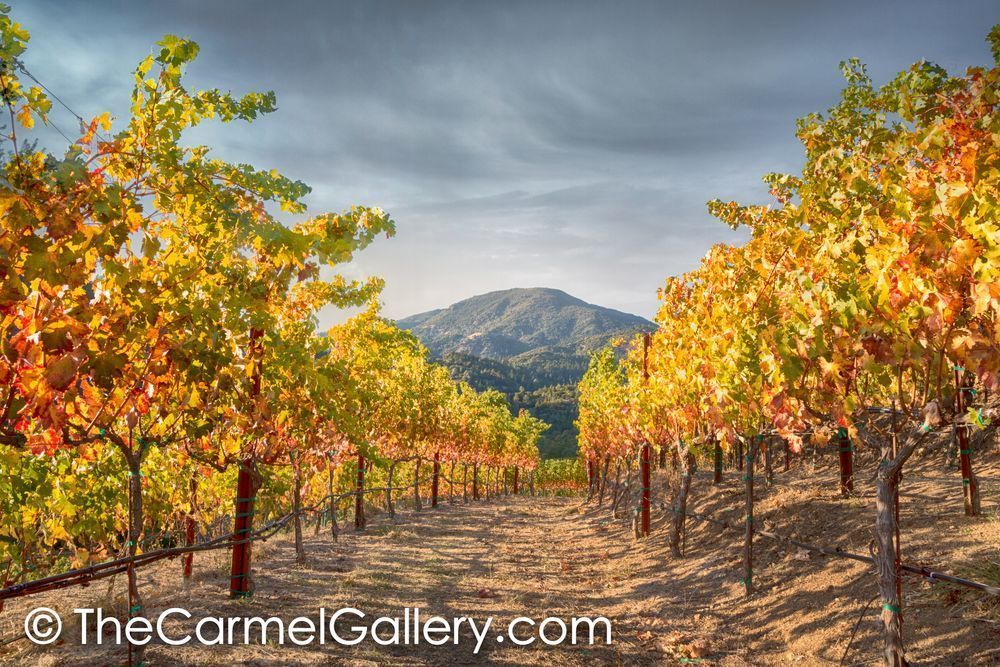 Mt St Helena Autumn