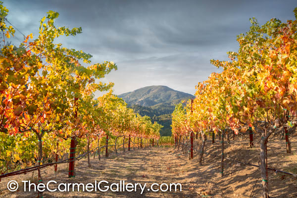 Mt St Helena Autumn