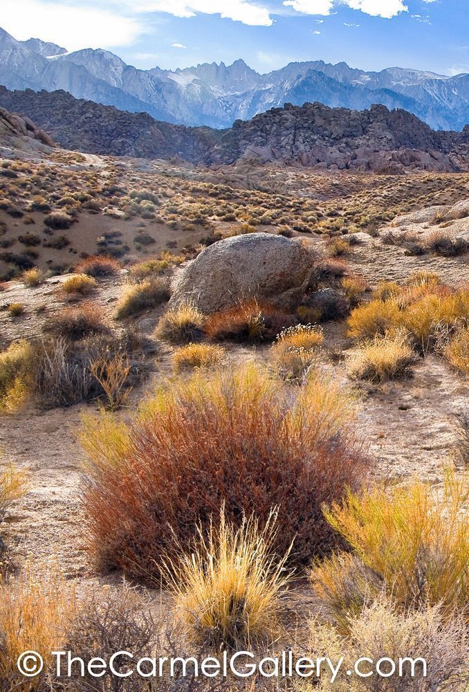 Mt Whitney Autumn