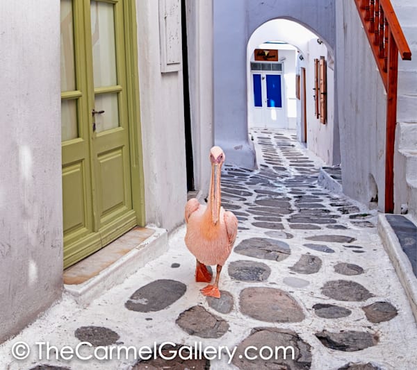 Mykonos Local