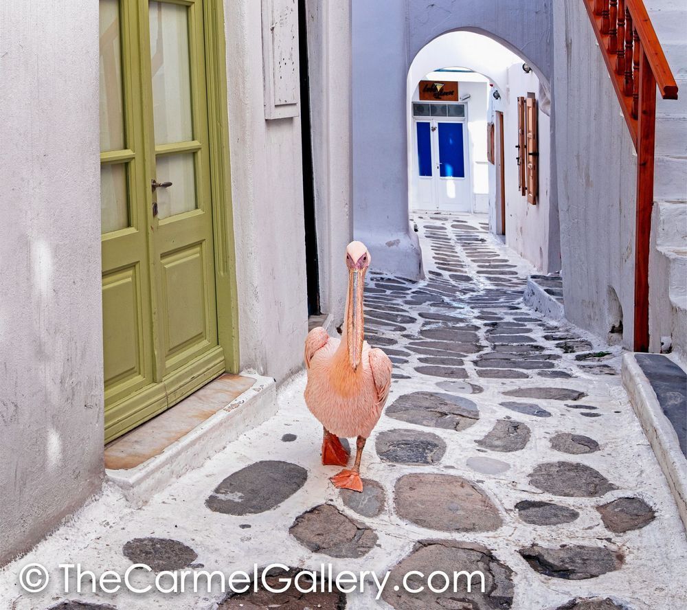Mykonos Local