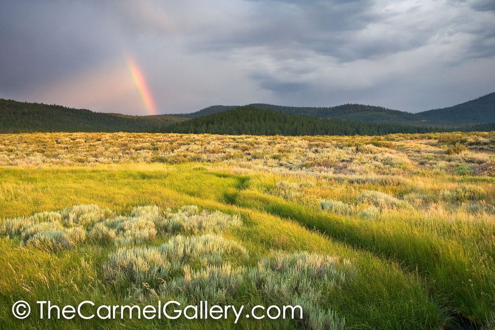 Martis Field Rainbow