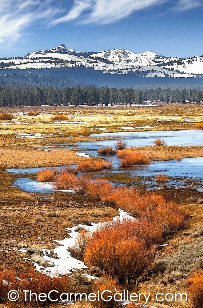 Martis Valley Spring