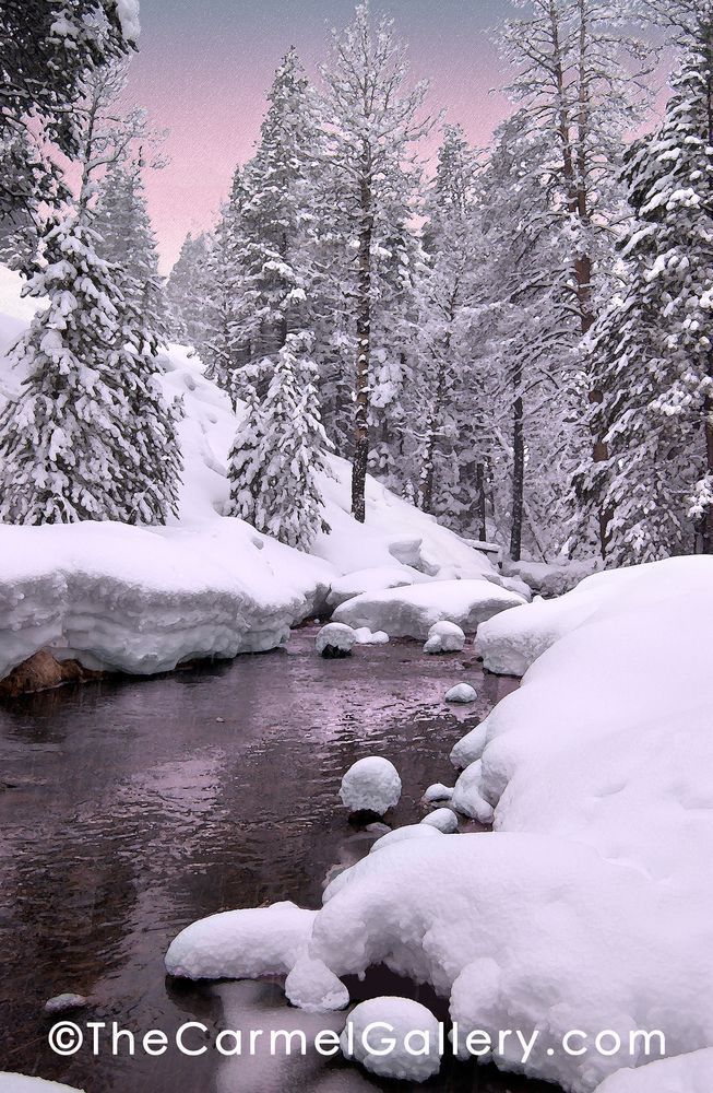 March Evening Alder Creek Photography Art | The Carmel Gallery