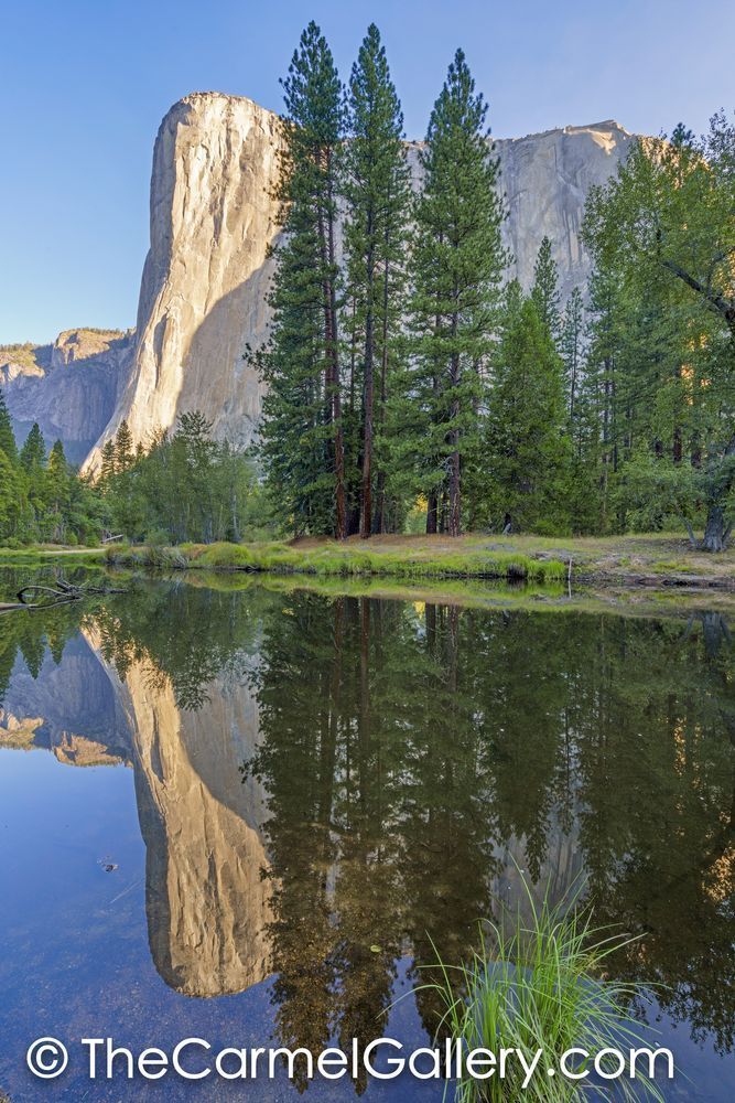 Morning Reflections, El Cap