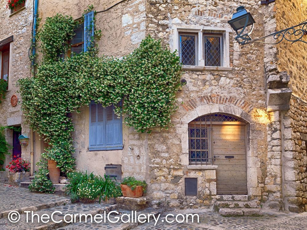 Photo of Morning Sun in Provence
