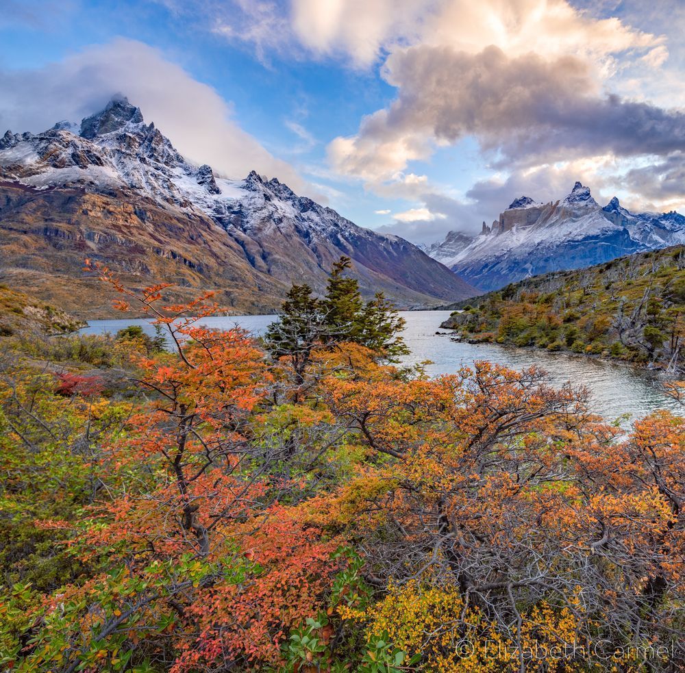 Autumn Morning Patagonia Photography Art | The Carmel Gallery