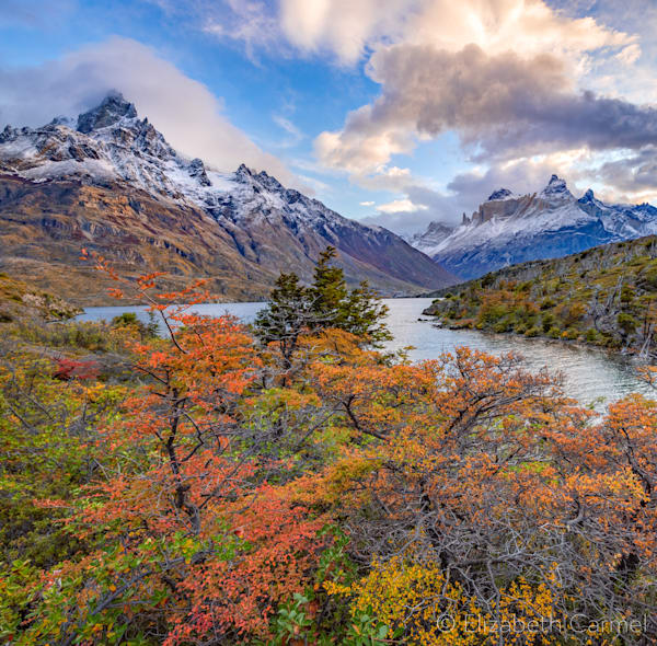 Autumn Morning Patagonia Photography Art | The Carmel Gallery