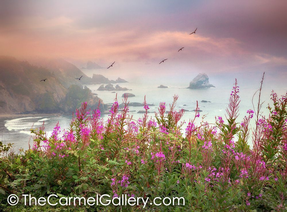 Morning Calm CA Coast