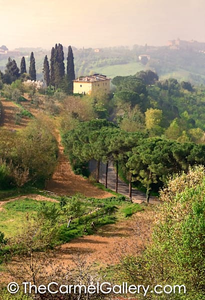 Morning Mist Tuscany
