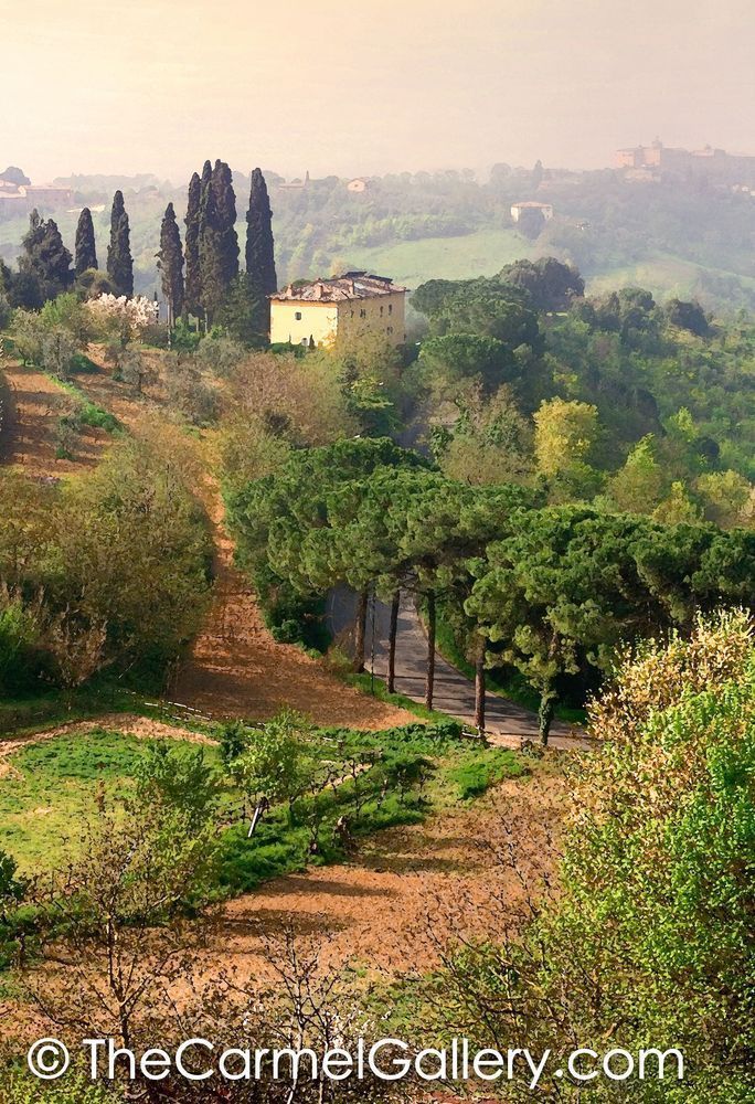 Morning Mist Tuscany