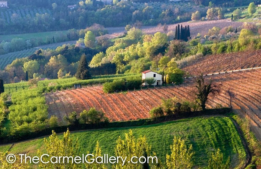 Morning Montepulciano