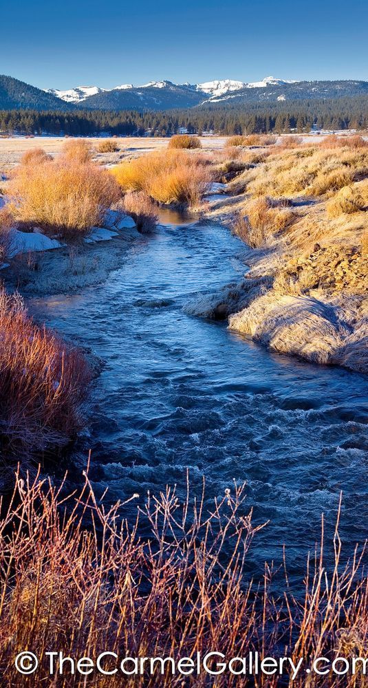 Morning Frost Martis Valley