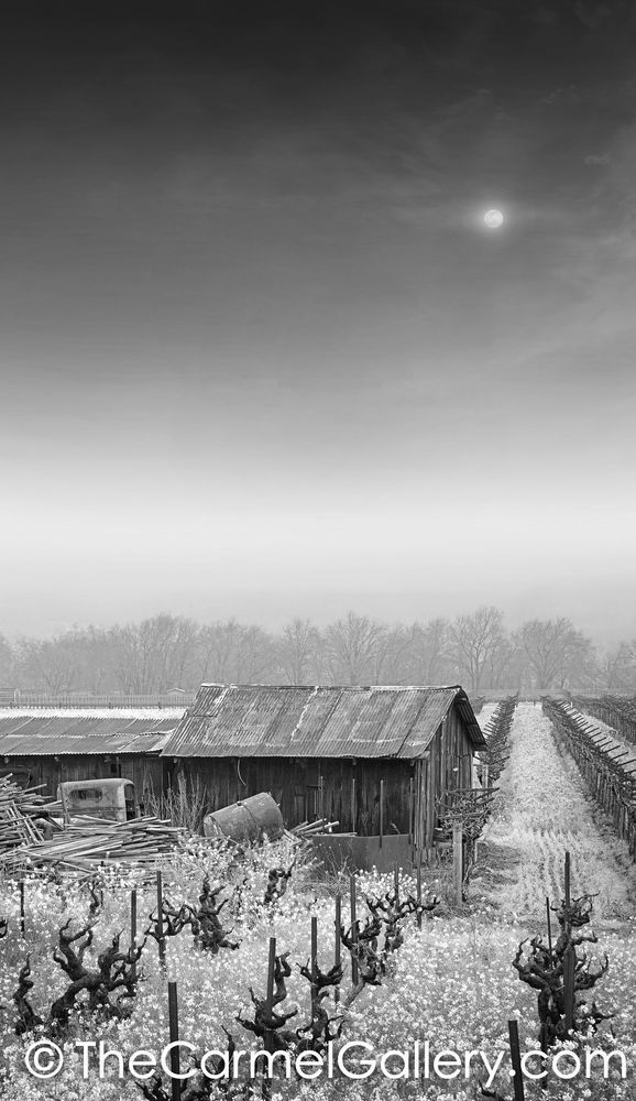 Moonshine Memories BW