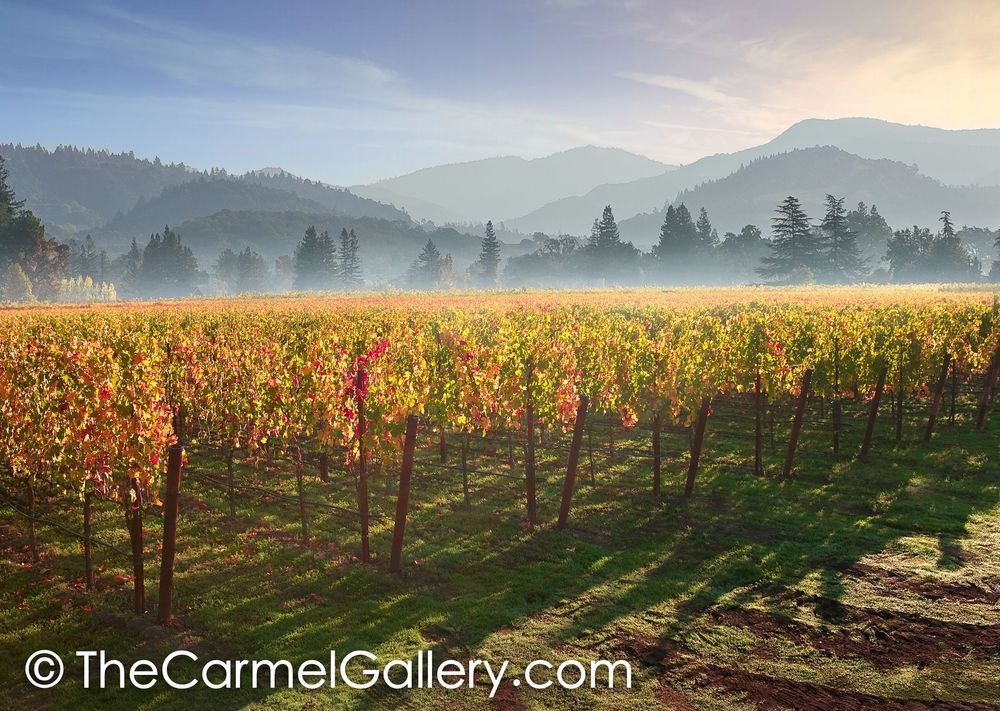 Misty Morning Hills