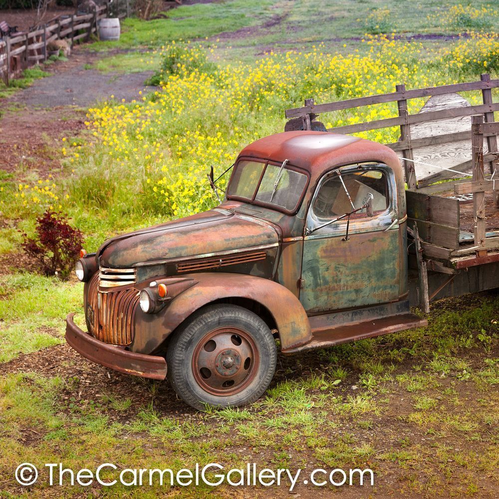 Rusted Truck and Mustard