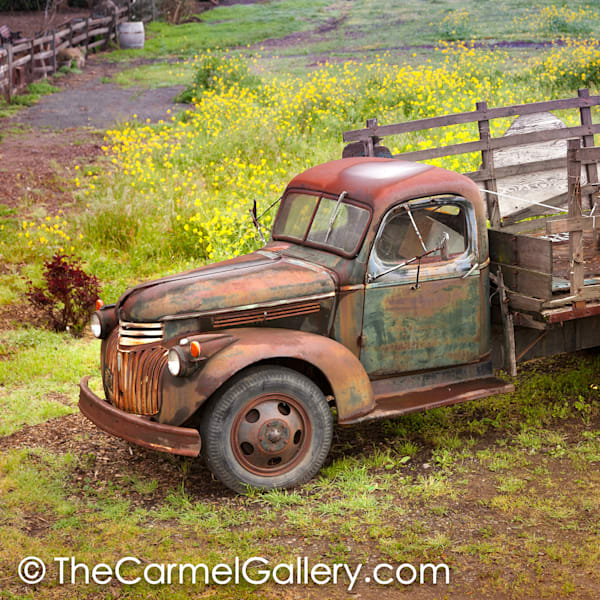 Rusted Truck and Mustard