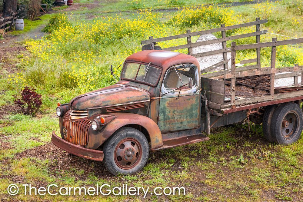 Rusted Truck and Mustard H