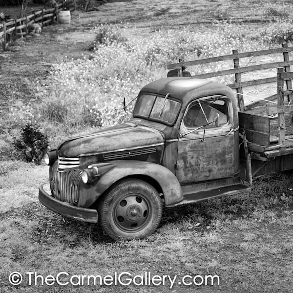 Rusted Truck Mustard BW