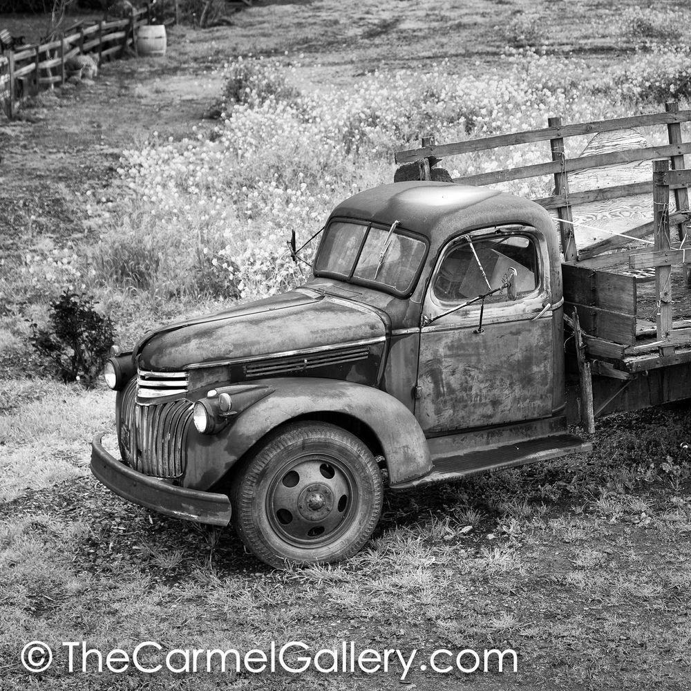 Rusted Truck Mustard BW
