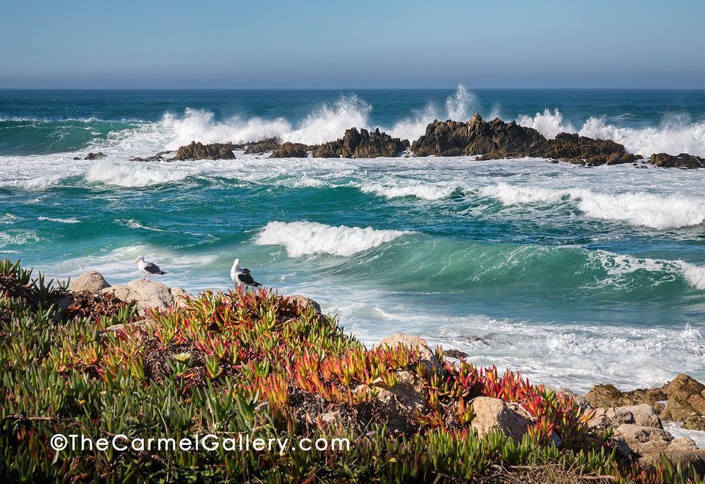 Restless Sea Carmel Photography Art | The Carmel Gallery