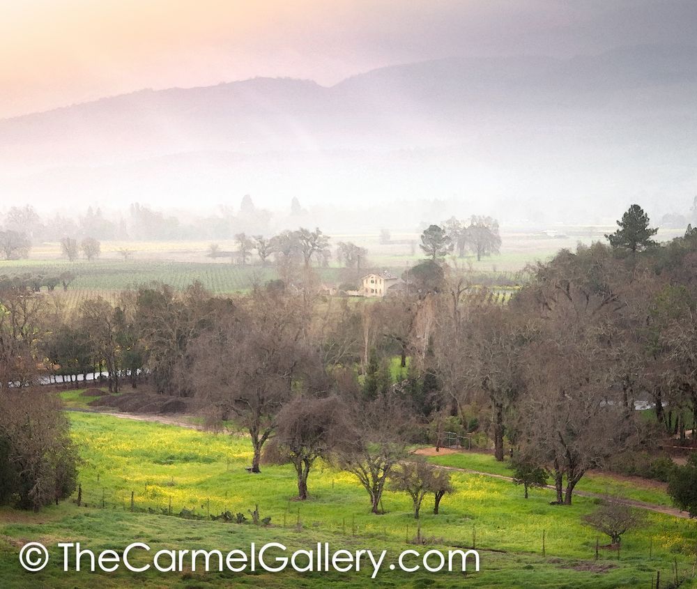 Rain in the Valley