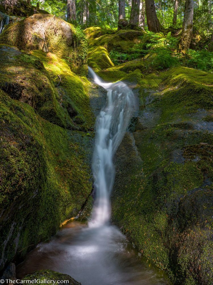 Rainier Cascade Photography Art | The Carmel Gallery