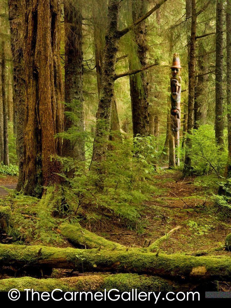 Rainforest Totem