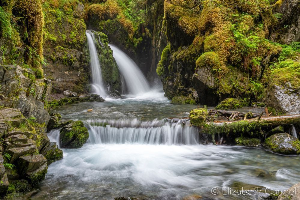 Rainforest Falls Photography Art | The Carmel Gallery