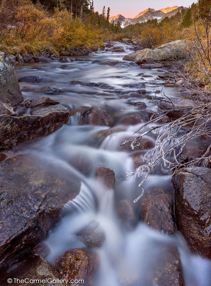 nature photograph for sale