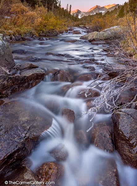 nature photograph for sale