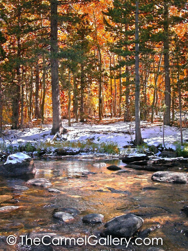 River Gold
