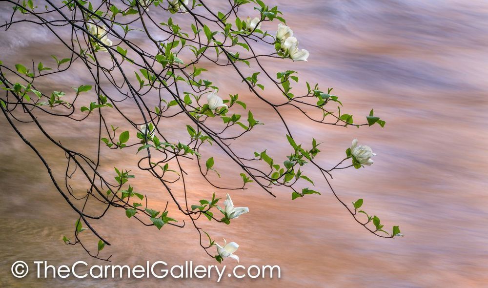 River Glow