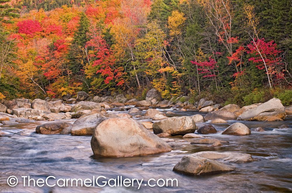 Swift River in Autumn